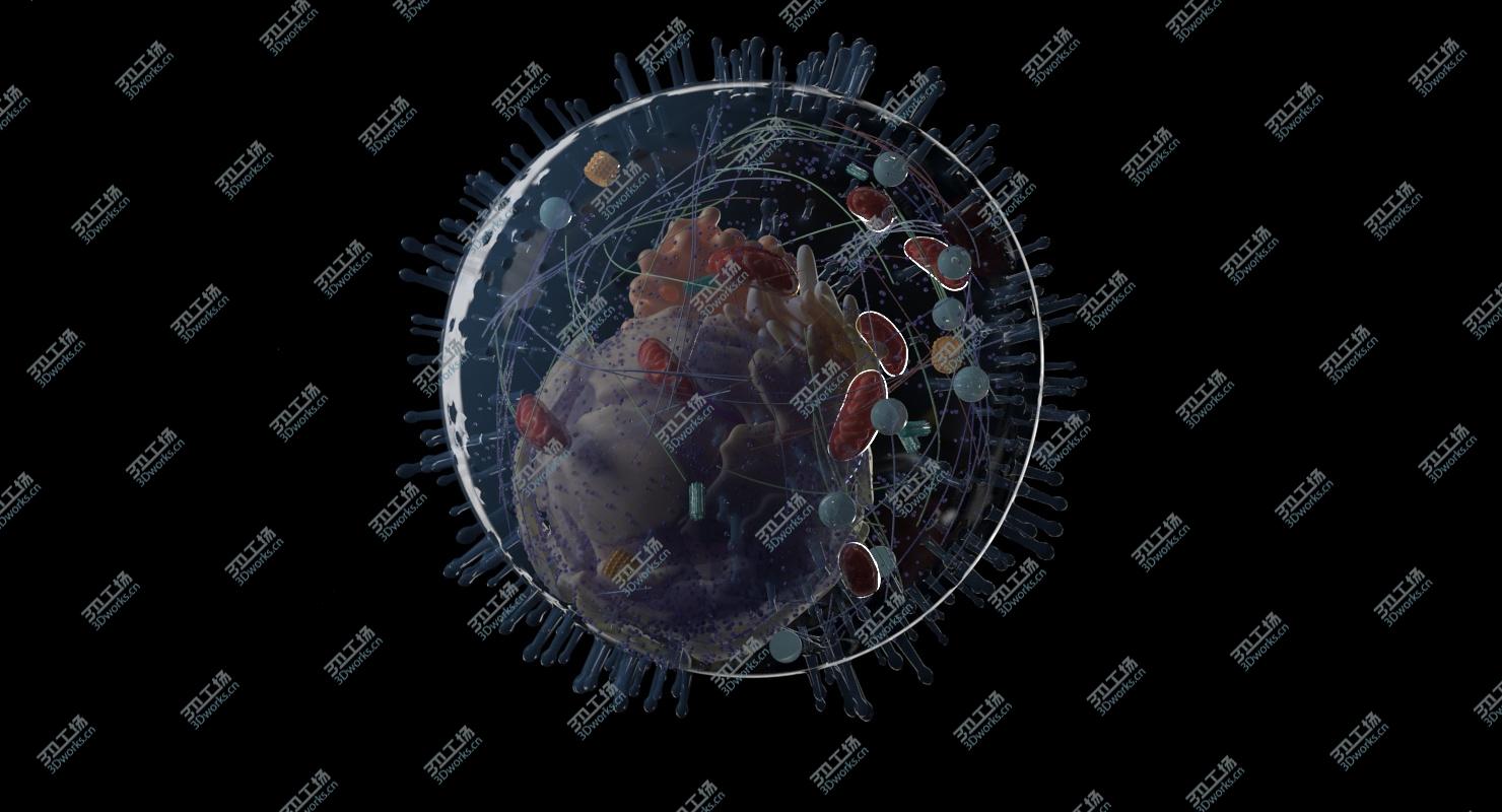 images/goods_img/2021040235/3D Human Cell/3.jpg